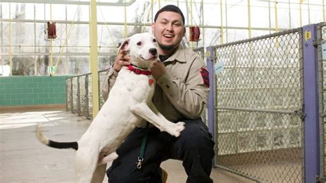 Animal Cops Philadelphia Discovery Uk