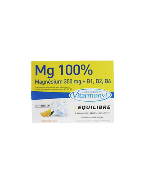 Mg 100 Vitamines B6 B2 B1 Et 300 Mg De Magnésium 24