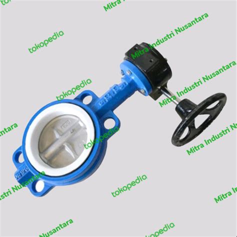 Jual Butterfly Valve Cast Iron Inchi Dn Model Gear Box Seat