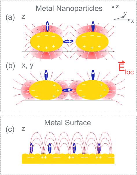 Schematic Depiction Of Polarization Dependent Enhancement Mechanisms In