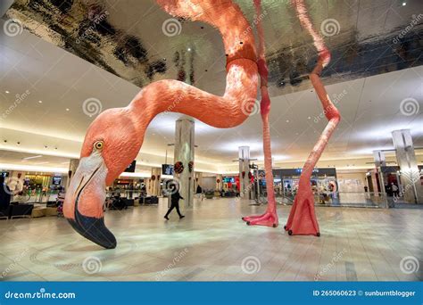 Tampa airport flamingo editorial stock photo. Image of travelers ...