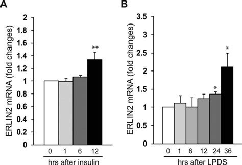 Figure S1 Quantitative Real Time Rt Pcr Analysis Of Erlin2 Mrna