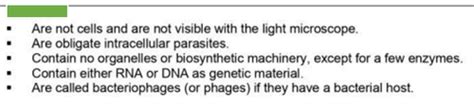 MTAP 2 BACTERIOLOGY PART 1 Flashcards Quizlet