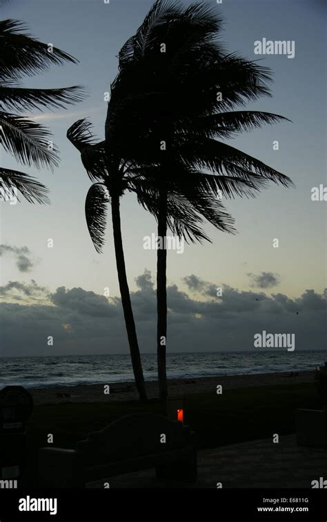 Beach Windy Sunrise Hi Res Stock Photography And Images Alamy