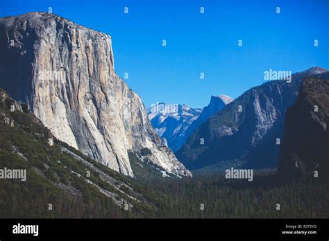 Beautiful Summer View Of Yosemite Valley With El Capitan Mountain