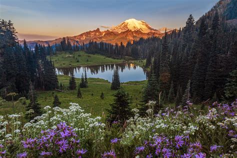 Tipsoo Lake Sunrise Sunrise At Mt Rainier Above Tipsoo Lak Flickr