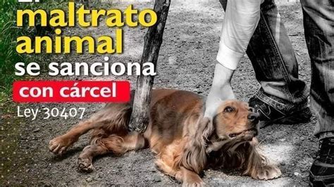 Petición · Reglamentación De La Ley De Protección Y Bienestar Animal En