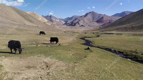 Trekking Desde El Valle De Pshart A Trav S Del Paso Gumbezkul A Madiyan