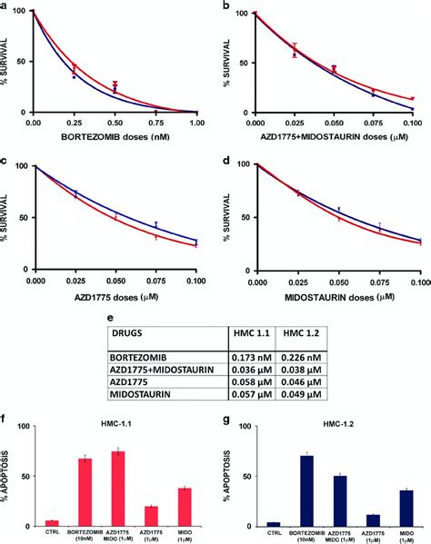 Effects Of Bortezomib And AZD1775 Midostaurin Combination In HMC 1