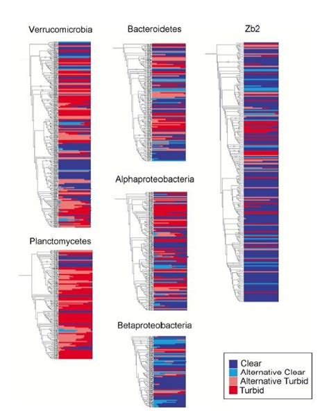 Phylogenetic Tree Of Dominant Bacterial Phyla Inferred From Partial 16s