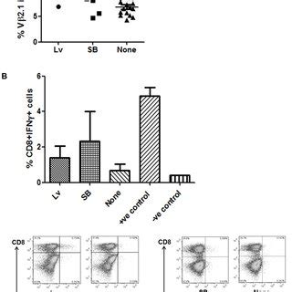 Wt Tcr Expression And Function In Human Primary T Cells A Wt Tcr