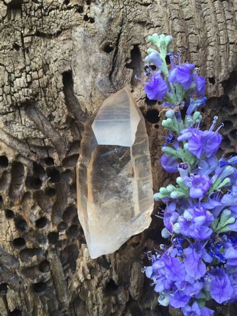 Reserved Lemurian Seed Quartz Gm Brazil Golden Etsy Crystal