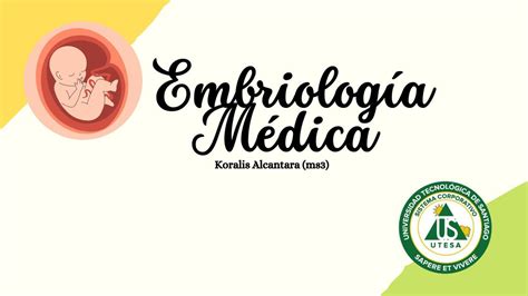 Embriología Médica Medlife2026 Udocz