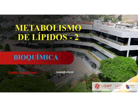 Clase De L Pidos Ii Famh Usmp Metabolismo De L Pidos