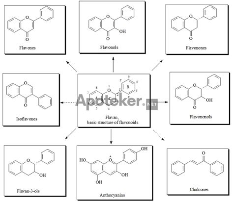 Berkenalan Dengan Flavonoid