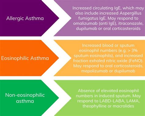 Asthma Phenotypes Severe Asthma Toolkit