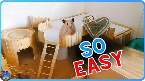 Pin By Daniel Helmick On Hamster Diy Hamster Toys, Hamster, 52% OFF