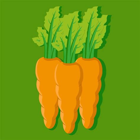 Premium Vector Vektor Carrot