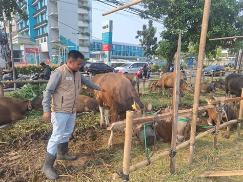 Penjual Hewan Kurban Mulai Ramai Di Kota Tangerang Segini Harganya