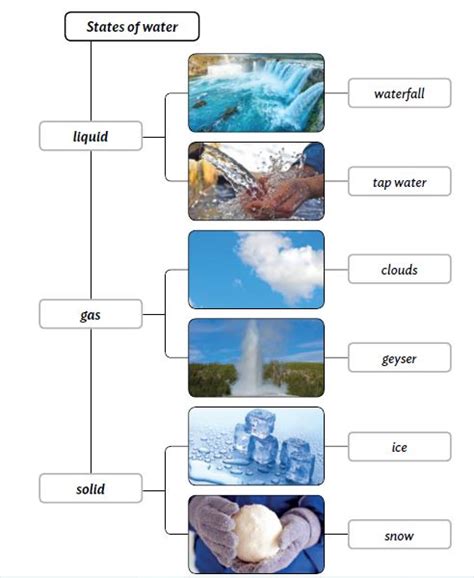 Natural Science Arts Marta States Of Water Estados Del Agua