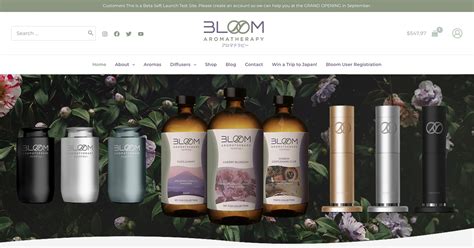 Bloom Aromatherapy Essential Oil Diffusers And Fragrances