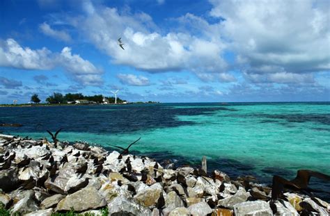 Menikmati Pesona Tersembunyi Pulau Gemia Terengganu Surga Tropis Di