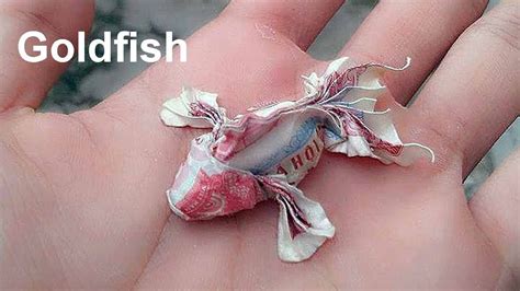 Phong Tran Origami Money Size 1x2 Origami Goldfish Money Origami