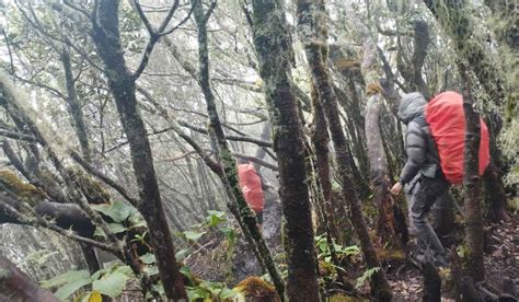 Merinding Jangan Lakukan Ini Saat Mendaki Gunung Dempo Ini Kisah