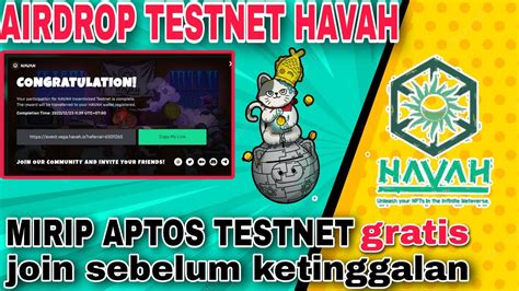 Crypto Airdrop Testnet Airdrop Havah Tesnet Airdrop Penghasil Crypto Terbaru Youtube