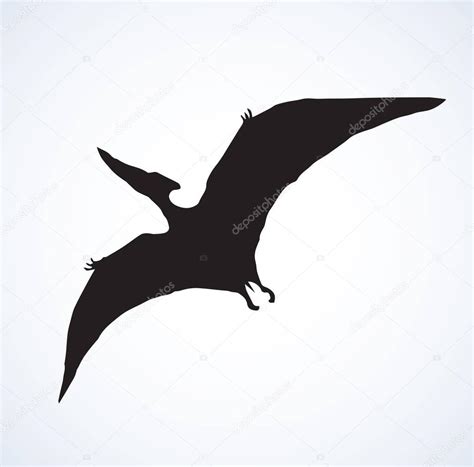 Pterod Ctilo Dibujo Vectorial