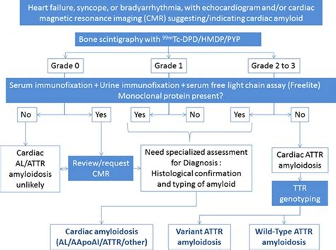 Addressing Common Questions Encountered In The Diagnosis And Management