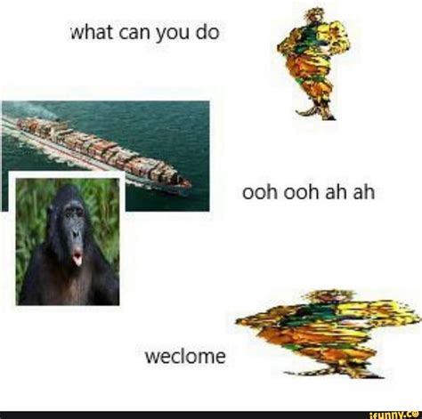 What Can You Do Ooh Ooh Ah Ah Weclome Ifunny