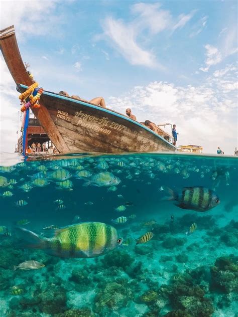 The Best Places To Scuba Dive And Snorkel In Thailand