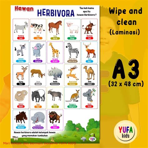 Jual 107 Poster Hewan Herbivora Poster Edukasi Anak Poster Belajar