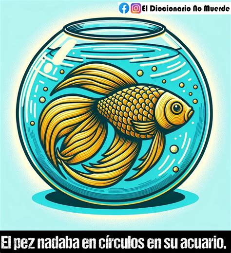 significado de circulo