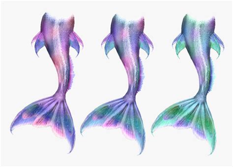 Ariel Mermaid Tail Siren Drawing - Mermaid Tails, HD Png Download - kindpng