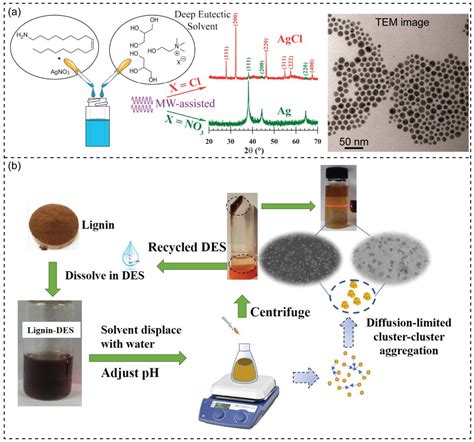 Nanomaterials Free Full Text Design Strategy And Application Of