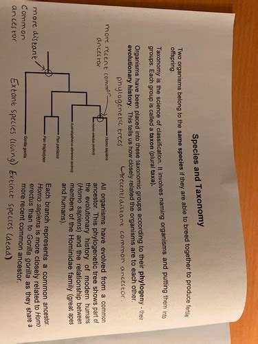 Booklet 8 Variation And Diversity Flashcards Quizlet