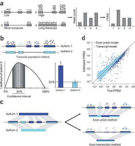 An Overview Of Gene Expression Quantification With RNA Seq A