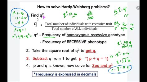 How To Solve Hardy Weinberg Problem Youtube