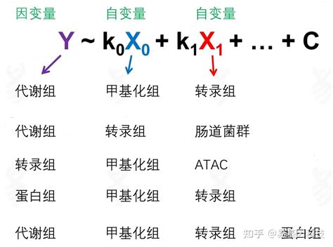 易基因：多组学关联分析及组学分子实验验证方法（表观组转录组微生物组）｜干货系列 深圳市易基因科技 博客园