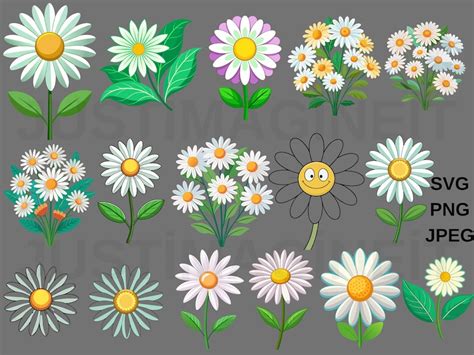 Daisy Svg Bundle Daisy Flower Svg Files For Cricut Clipart Cut Files