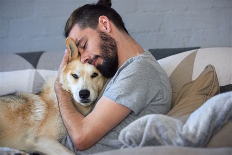 12 Most Snuggly Dog Breeds