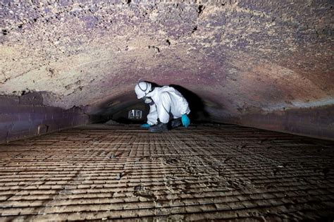 Premium Photo Male Worker Inspecting Belt Refractory Bricks Of Coil