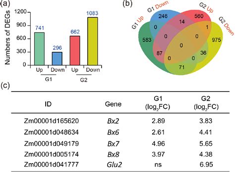 Figure 1 From Foliar Pathogen Induced Assemblage Of Beneficial