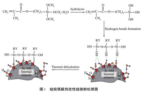 【技术】硅微粉有机改性常用药剂及机理 技术进展 粉体技术网—粉体技术，粉体培训，粉体设备，粉体仪器，粉体会议