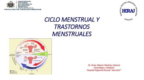 Ciclo Menstrual Y Trastornos Menstruales Manuel Sandoval Udocz