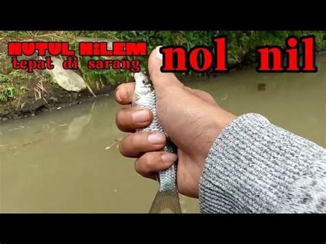 Mancing Nutul Melem Nilem Tepat Di Sarangnya Bikin Betah Di Spot