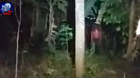 Live Misterisandekala Hutan Larangan Youtube