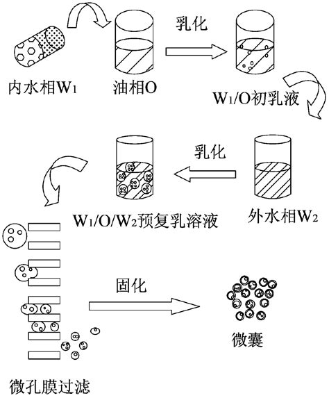 Small Molecule Hydrophilic Drug Embedded Sustained Release Capsule And